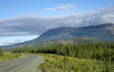 Alaska Highway Whitehorse ve Haines Junction arasında Kanada'da bir görünümünü