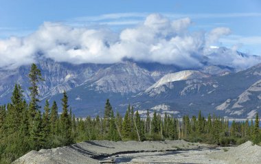 A view of a riverbed North of Haines Junction in Yukon Teritory, Canada clipart