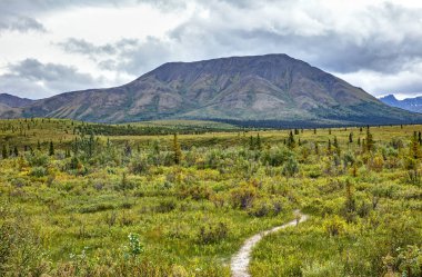 Tundra Blm Kuzey Kutbu anıt işareti yanındaki bir görünümünü Dalton Highway Alaska, ABD tarihinde