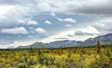 Tundra Blm Kuzey Kutbu anıt işareti yanındaki bir görünümünü Dalton Highway Alaska, ABD tarihinde