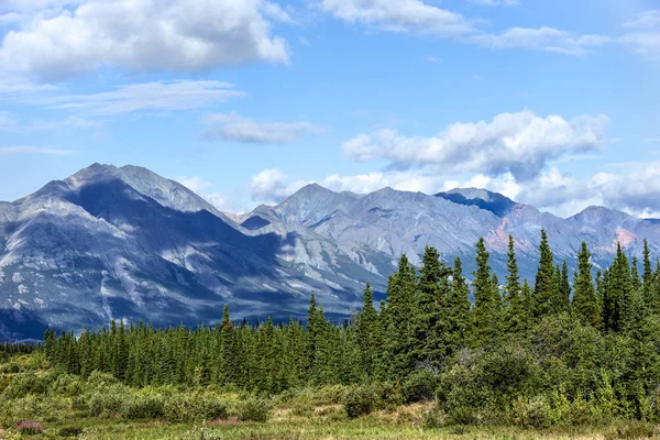 Widok Góry Czas Twardy Kanionu Alaska Highway Kanada Między Whitehorse — Zdjęcie stockowe