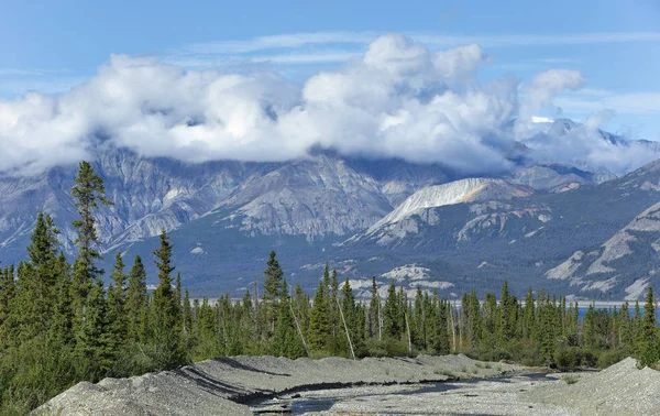 Pohled Koryta Severně Haines Junction Teritoriu Yukon Kanada — Stock fotografie