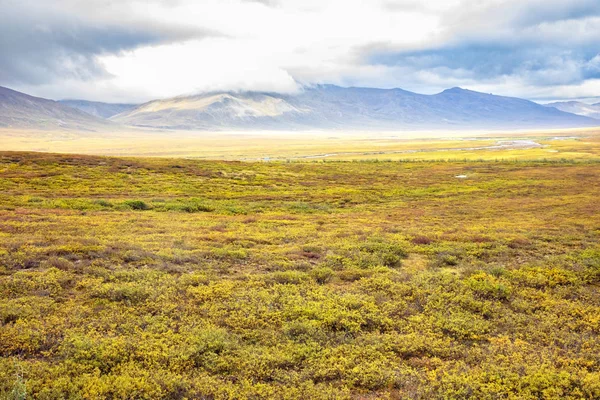 Veduta Della Tundra Lungo Dalton Highway Alaska Usa — Foto Stock