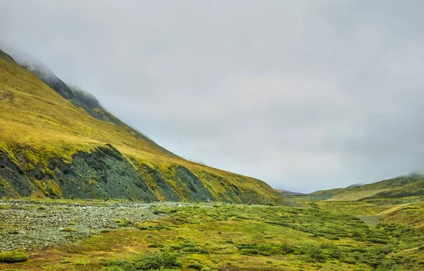 View Atigun Pass Brooks Range Dalton Highway Alaska Usa Here — Stock Photo, Image