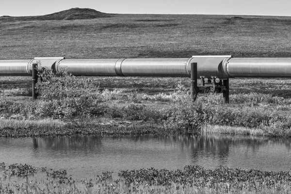 A view of the Trans-Alaska Pipeline across the tundra in Alaska, USA