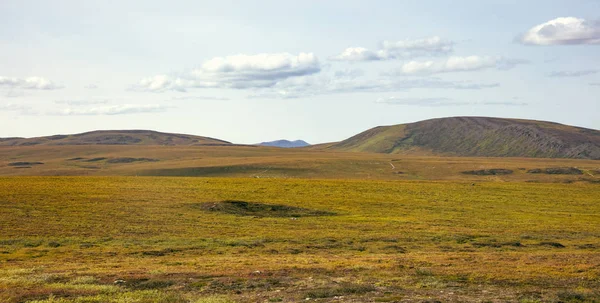 View Tundra Alaska Usa — Stock Photo, Image