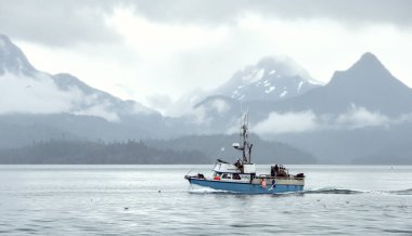 Homer, Ak - 23 Ağustos 2018: Homer Spit, Alaska Kachemak yuvasından bir görünümü