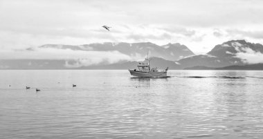 Homer, Ak - 23 Ağustos 2018: Homer Spit, Alaska Kachemak yuvasından bir görünümü