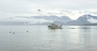 Homer, Ak - 23 Ağustos 2018: Homer Spit, Alaska Kachemak yuvasından bir görünümü
