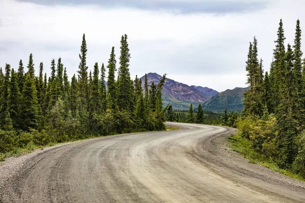 Park Road Denali Nemzeti Parkban Megőrzése Alaszka Látképe — Stock Fotó