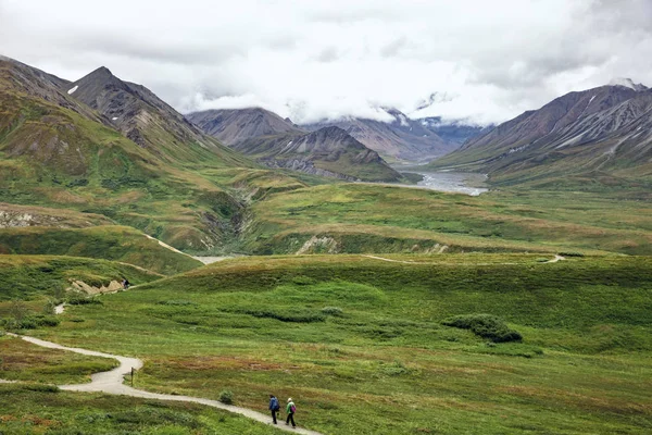 Národní Park Denali Zachovat Srpen 2018 Pohled Aljašky Pohybují Eielson — Stock fotografie