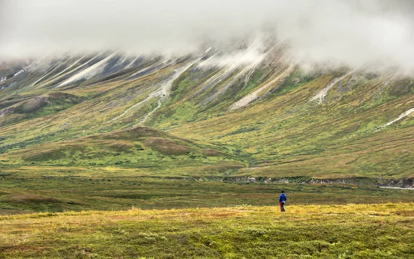 Denali Milli Parkı ve korunağı, Ak - 21 Ağustos 2018: Eielson ziyaretçi Merkezi'nde Denali Milli Parkı ve korunağı Alaska aralığından bir görünümünü