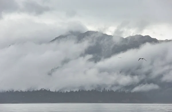 Vista Del Parque Estatal Bahía Kachemak Desde Homer Spit Alaska — Foto de Stock