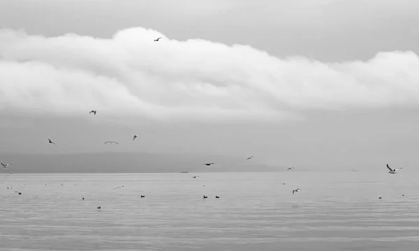 ホーマー唾を吐きかける アラスカからカチェマック湾の景色 — ストック写真