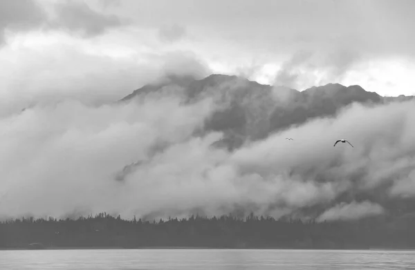 Bir Görünümü Kachemak Bay State Park Homer Spit Alaska — Stok fotoğraf