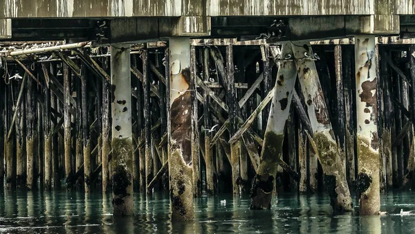 阿拉斯加州荷马吐槽结束的码头结构的看法 柱子上覆盖着藤壶 — 图库照片