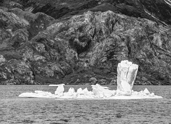 プリンス ウィリアム湾 アラスカ州のコロンビア湾に氷山が浮かんでいます — ストック写真
