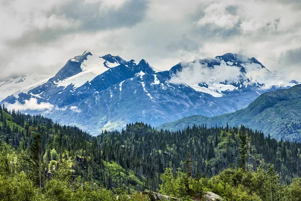 View Chugach National Forest Prince William Sound Alaska — Stock Photo, Image