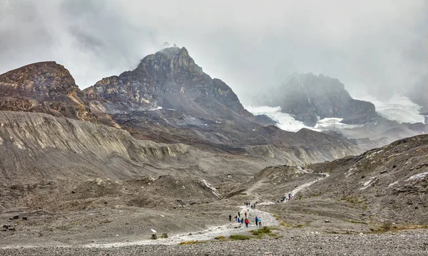 Glacier Athabasca Alberta Canada Août 2018 Vue Sur Glacier Athabasca — Photo