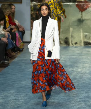 New York, New York - 11 Şubat 2019: Nora Attal Carolina Herrera sonbahar kış 2019 defile pist yürür