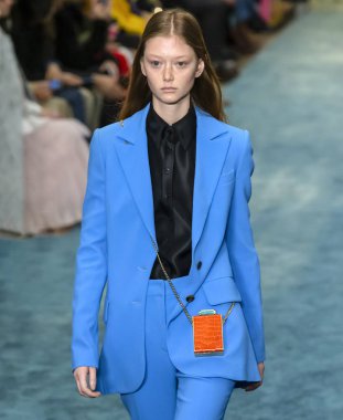 New York, New York - 11 Şubat 2019: Sara Grace Wallerstedt Carolina Herrera sonbahar kış 2019 defile pist yürür