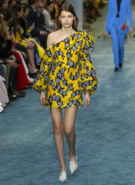 New York, New York - 11 Şubat 2019: Mathilde Henning Carolina Herrera sonbahar kış 2019 defile pist yürür
