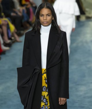 New York, New York - 11 Şubat 2019: Annibelis Baez Carolina Herrera sonbahar kış 2019 defile pist yürür