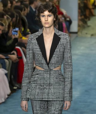 New York, New York - 11 Şubat 2019: Jamily Meurer Carolina Herrera sonbahar kış 2019 defile pist yürür