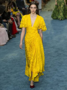 New York, New York - 11 Şubat 2019: Alyssah Paccoud Carolina Herrera sonbahar kış 2019 defile pist yürür