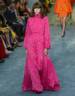 New York, New York - 11 Şubat 2019: Evelyn Nagy Carolina Herrera sonbahar kış 2019 defile pist yürür