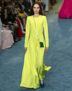 New York, New York - 11 Şubat 2019: Lily Stewart Carolina Herrera sonbahar kış 2019 defile pist yürür