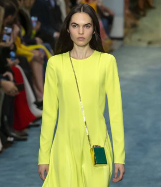 New York, New York - 11 Şubat 2019: Lily Stewart Carolina Herrera sonbahar kış 2019 defile pist yürür