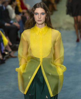 New York, New York - 11 Şubat 2019: Ansley Gulielmi Carolina Herrera sonbahar kış 2019 defile pist yürür