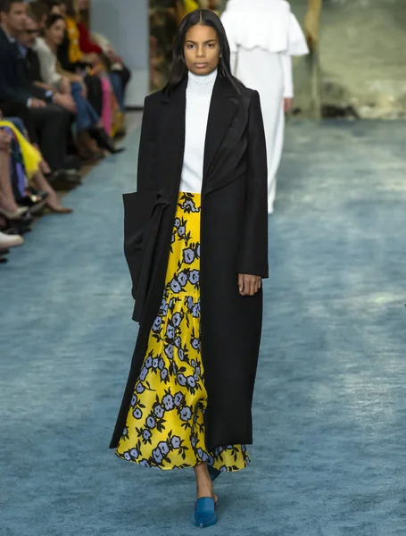 New York, New York - 11 Şubat 2019: Annibelis Baez Carolina Herrera sonbahar kış 2019 defile pist yürür