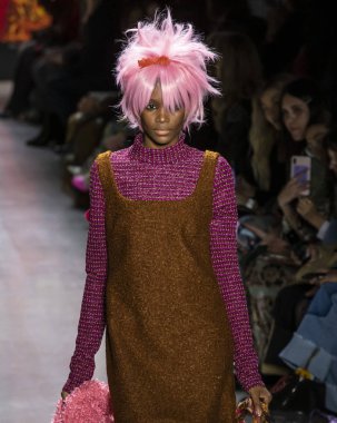 New York, New York - 11 Şubat 2019: Elibeidy Dani Anna Sui sonbahar kış 2019 defile pist yürür