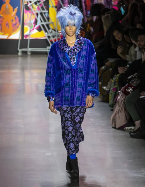 New York, New York - 11 Şubat 2019: Dilone Anna Sui sonbahar kış 2019 defile pist yürür