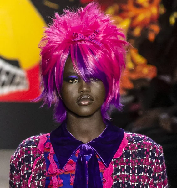 New York, New York - 11 Şubat 2019: Adut Akech Anna Sui sonbahar kış 2019 defile pist yürür