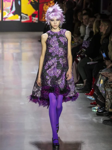 New York, New York - 11 Şubat 2019: Lea Julian Anna Sui sonbahar kış 2019 defile pist yürür