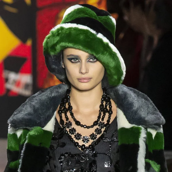 New York, New York - 11 Şubat 2019: Taylor Hill Anna Sui sonbahar kış 2019 defile pist yürür