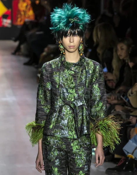 New York, New York - 11 Şubat 2019: Issa Lish Anna Sui sonbahar kış 2019 defile pist yürür