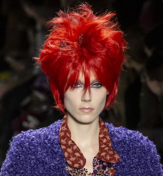 New York, New York - 11 Şubat 2019: Kiki Willems Anna Sui sonbahar kış 2019 defile pist yürür