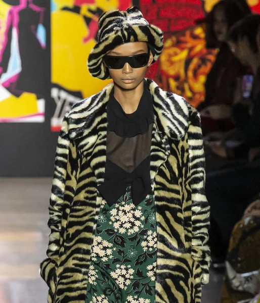 New York, New York - 11 Şubat 2019: Ugbad Abdi Anna Sui sonbahar kış 2019 defile pist yürür