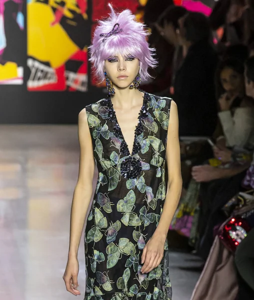 New York, New York - 11 Şubat 2019: Lea Julian Anna Sui sonbahar kış 2019 defile pist yürür