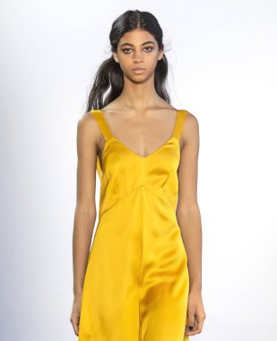 Noor 2019 sonbahar kış pist Haritayı New York'ta öğle vakti