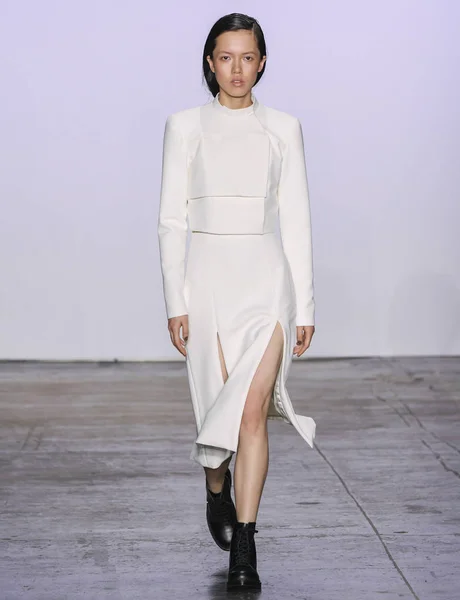 Hogan mclaughlin 2019 Herbst Winter Runway Show in New York City — Stockfoto