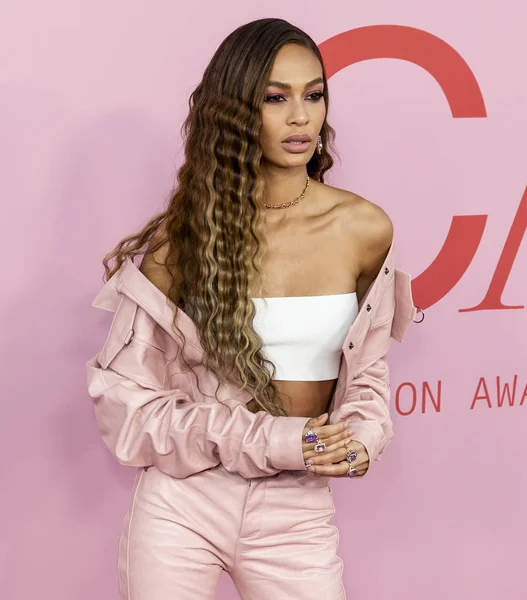 CFDA Fashion Awards, Arrivals, Brooklyn Museum, New York, USA - — Stock Photo, Image