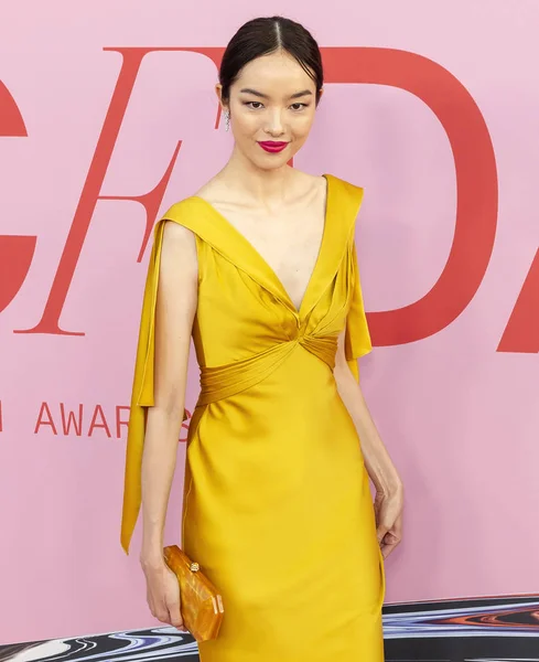 Cfdaファッションアワード、到着、ブルックリン博物館、ニューヨーク、アメリカ - — ストック写真