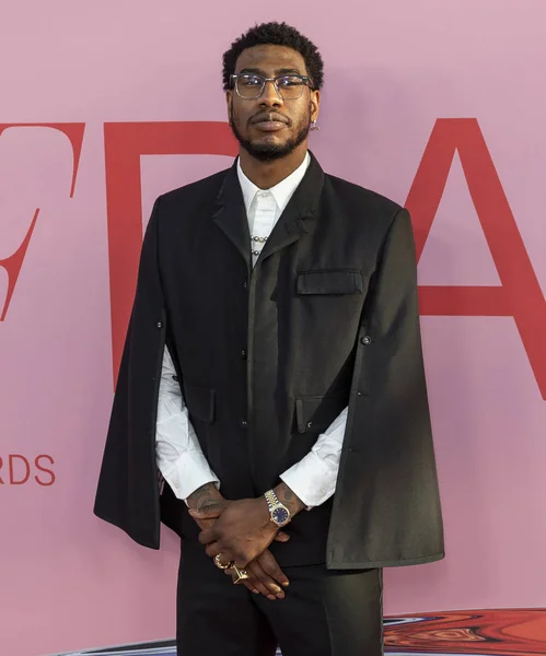 Cfda fashion awards, ankünfte, brooklyn museum, new york, usa - — Stockfoto