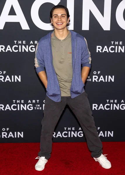 ' The Art of Racing in the Rain ' film première, El Capitan Theatr — Stockfoto