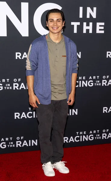 'The Art of Racing in the Rain' Estreia do cinema, El Capitan Theatr — Fotografia de Stock